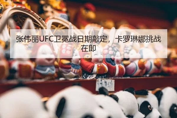 zhang-wei-li-wei-mian-zhan-ri-qi-qiao-ding-ka-luo-lin-na-tiao-zhan-zai-ji-3-164.jpg