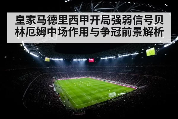 football stadium floodlights crowd