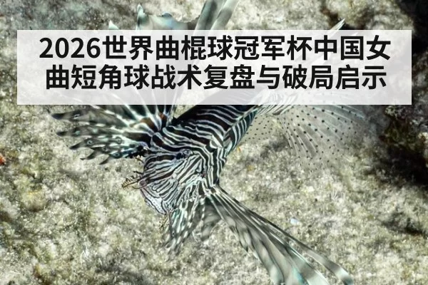 2026世界曲棍球冠军杯中国女曲短角球战术复盘与破局启示